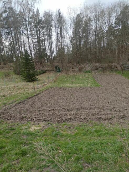 Sprzedam mieszkanie w dobrym stanie do remontu