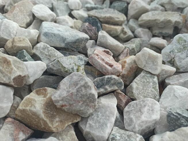 Grys Ogrodowy Pastelowy Cappucino Janowicki Marianna Kora