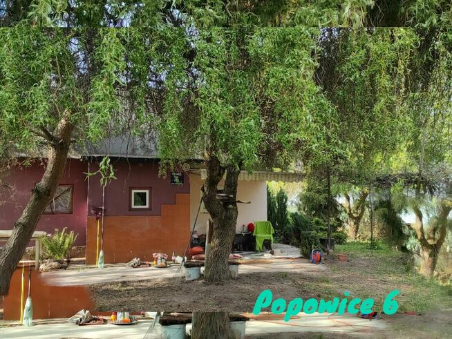 Siedlisko, 20 minut od Warszawy zamienię na mieszkanie/lokal