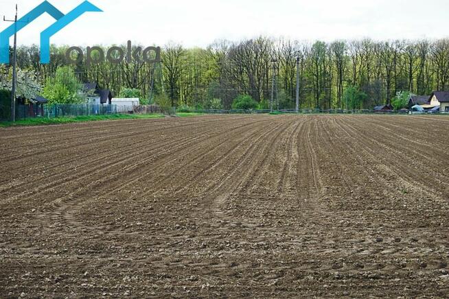 Działka budowlana Górki Wielkie gm. Brenna