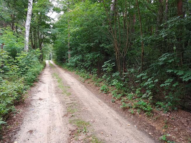 Działka budowlana Grotniki gm. Zgierz