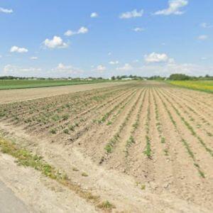 5 ha Ołtarzew gm. Ożarów Mazowiecki