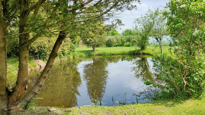 Działka ROD Jabłuszko