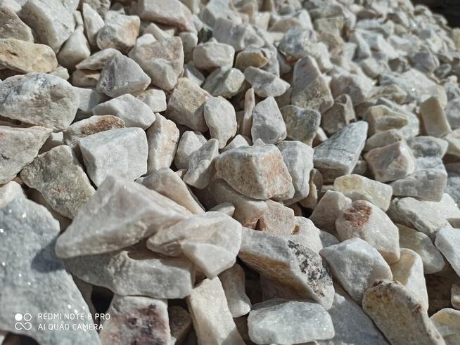 Grys Ogrodowy Pastelowy Cappucino Janowicki Marianna Kora