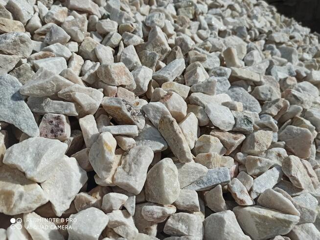 Grys Ogrodowy Pastelowy Cappucino Janowicki Marianna Kora