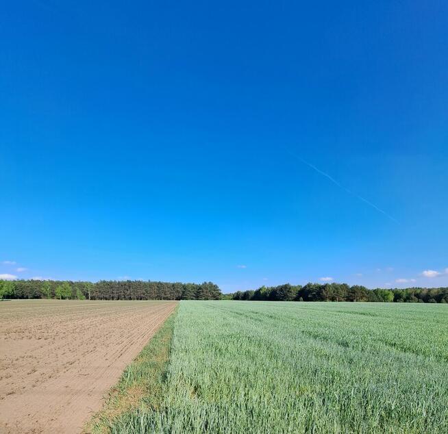 Działka budowlana w Rembowie powiat łaski