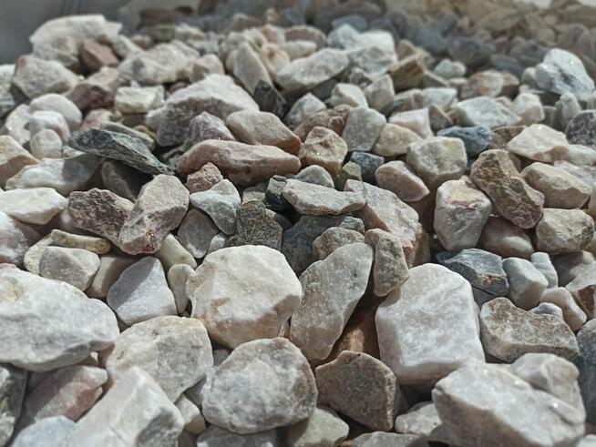 Grys Ogrodowy Pastelowy Cappucino Janowicki Marianna Kora