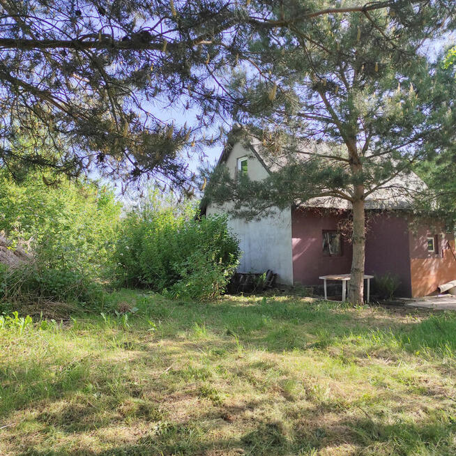 Siedlisko, 20 minut od Warszawy zamienię na mieszkanie/lokal