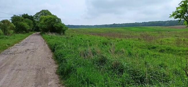 Działka budowlana Dobropole Gryfińskie