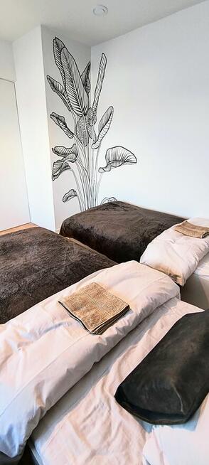 Noclegi Krosno / Korczyna