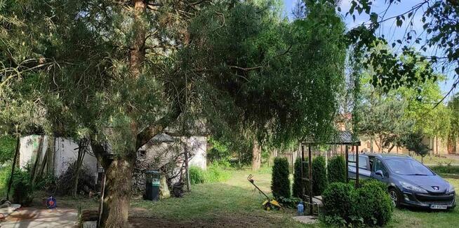 Siedlisko- 20 minut od Warszawy- okolice Mogielnicy/grójecki