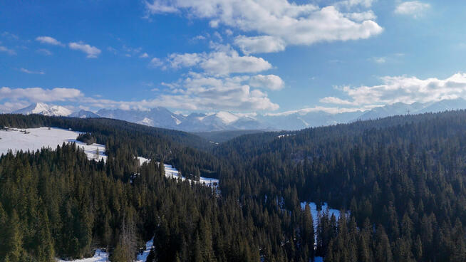 Profesjonalne USŁUGI DRONEM - zdjęcia i filmy z lotu ptaka