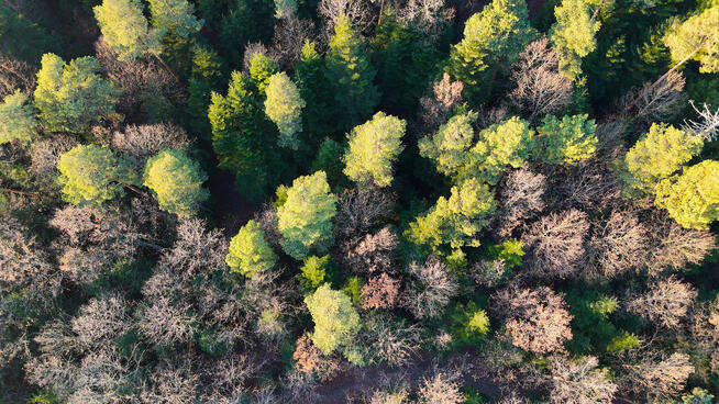Profesjonalne USŁUGI DRONEM - zdjęcia i filmy z lotu ptaka