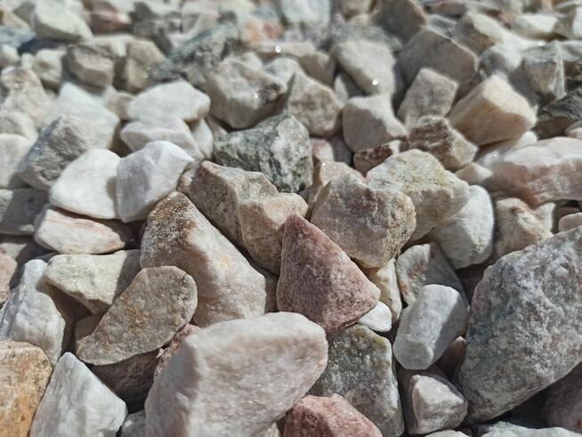 Grys Ogrodowy Pastelowy Cappucino Janowicki Marianna Kora