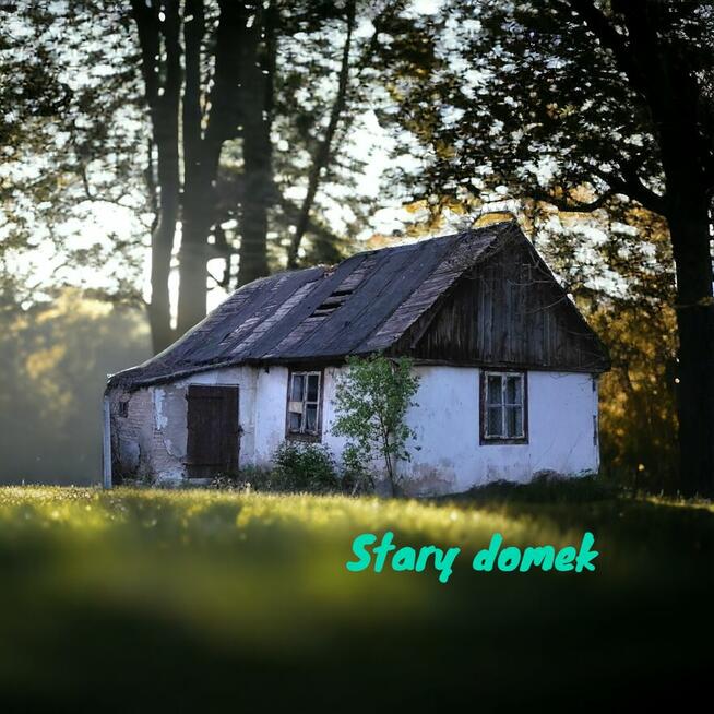 Siedlisko- 20 minut od Warszawy- okolice Mogielnicy/grójecki