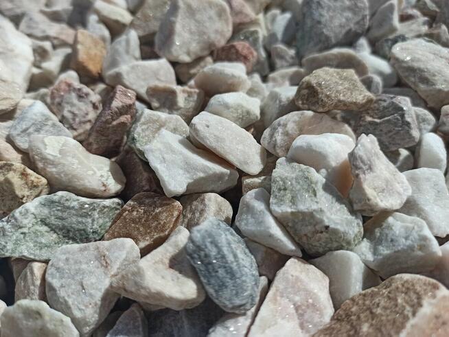 Grys Ogrodowy Pastelowy Cappucino Janowicki Marianna Kora