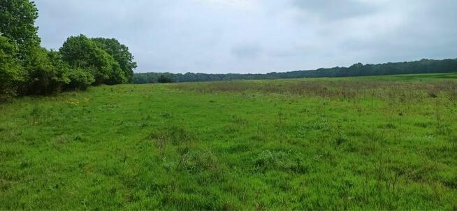 Działka budowlana Dobropole Gryfińskie