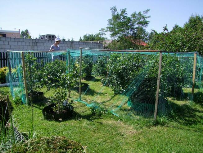 Sprzedam działkę rekreacyjną. Skarżysko-Kamienna.