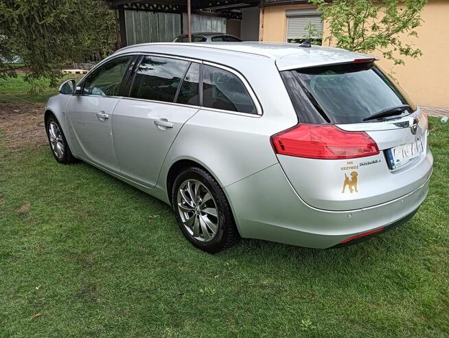 Opel Insygnia Eco Flex