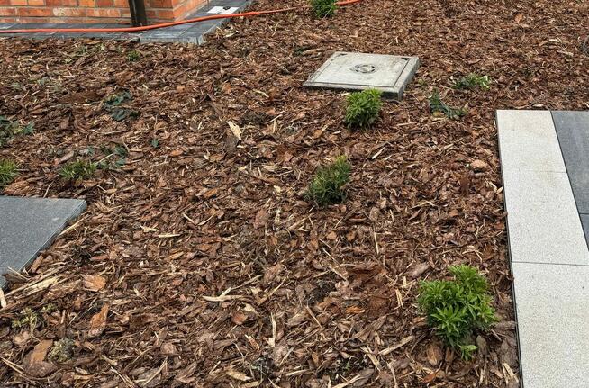 Pielęgnacja ogrodów, usługi ogrodnicze.