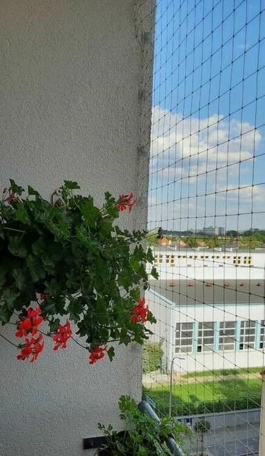 siatka dla kota na taras, balkon okna ,