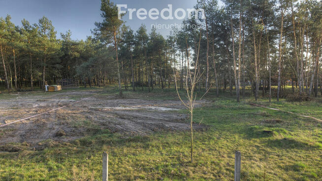 Działka budowlana w Czeszewie