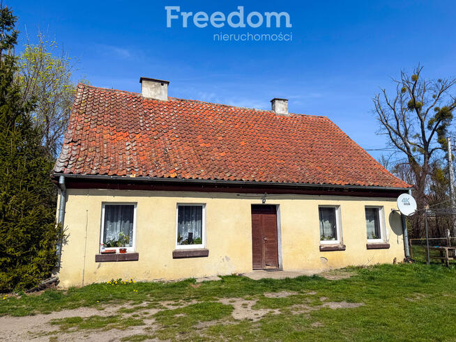 Siedlisko-dom,stajnia,stodoła,obora,2 ha,S7