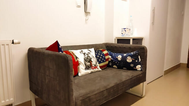 Kursy angielskiego dla dorosłych – Mów płynnie z SJOK!