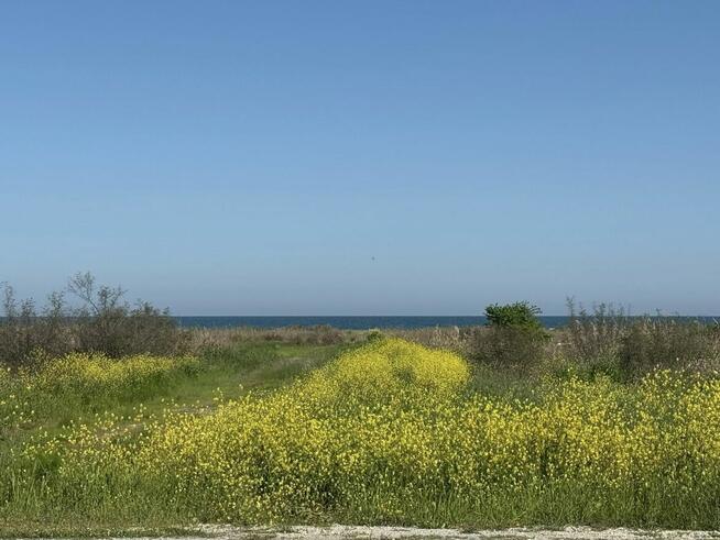 MAXIM Apartament Greece – Apartamenty w Grecji do wynajęcia