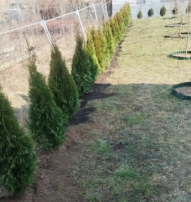 Pielęgnacja ogrodów, usługi ogrodnicze.