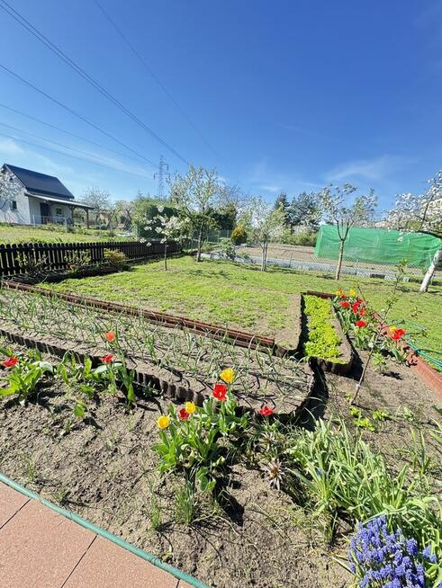 Sprzedam działkę ROD Białystok