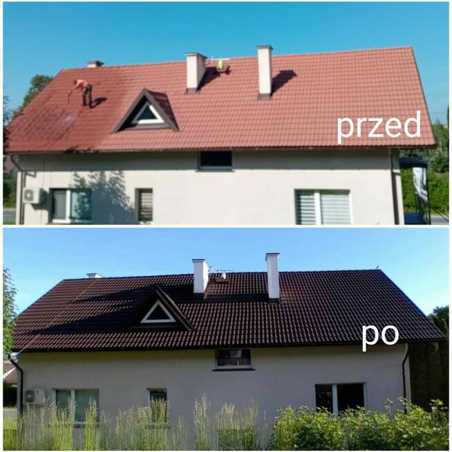 Malowanie dachów I elewacji