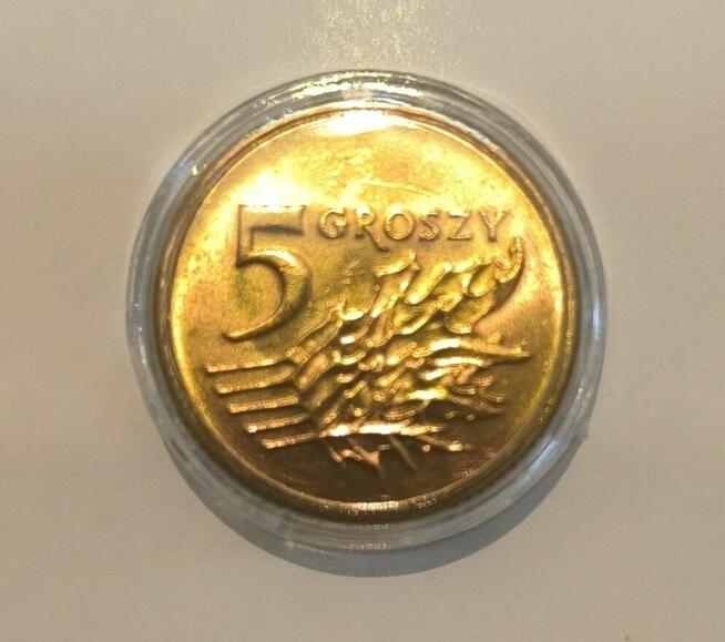 5 groszy 1993r. w slabie.