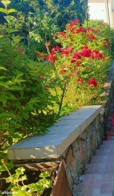 4 Pokoje Dom Ogród Gdynia Mały Kack