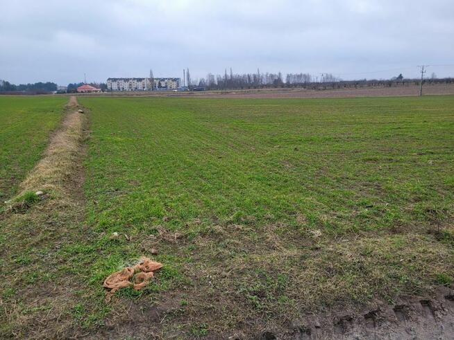 Działka rolno - budowlana