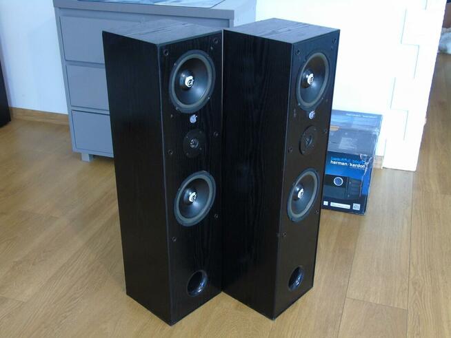 Mocne kolumny Cat 2 x 400 wat. DOSTAWA.