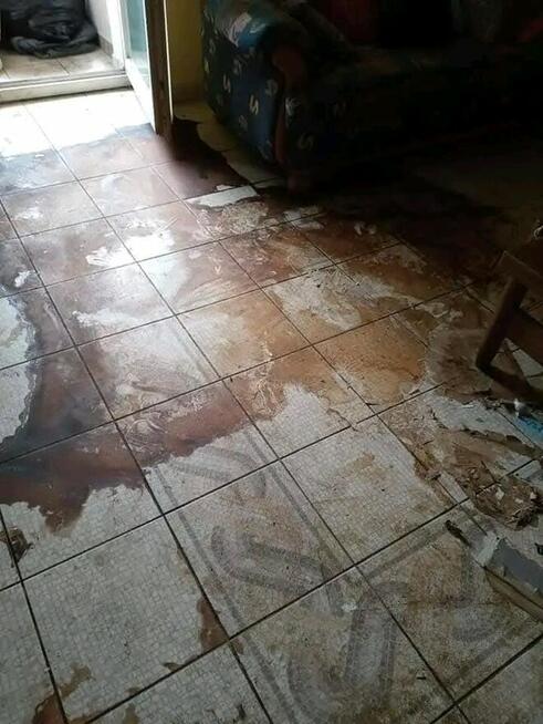 Oferuję generalne sprzątanie ròwnież po wyprowadzce..