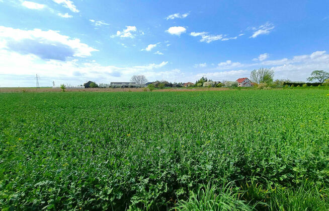 Działki Pniówek, 2,5 km od Zamościa