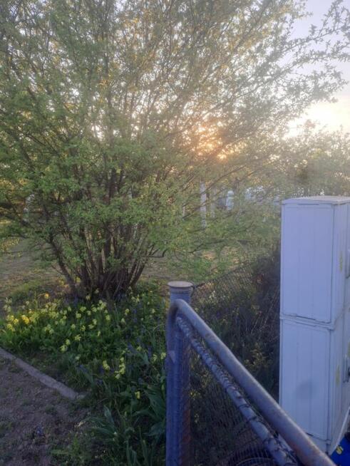 Sprzedam działke Rod