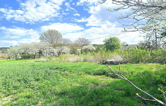 Działki Pniówek, 2,5 km od Zamościa