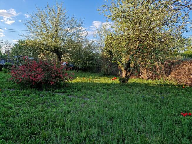 Dwie działki ROD razem (obok siebie) z domem murowanym