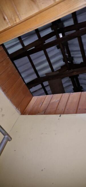 Działka rod Szczecin Wielgowo