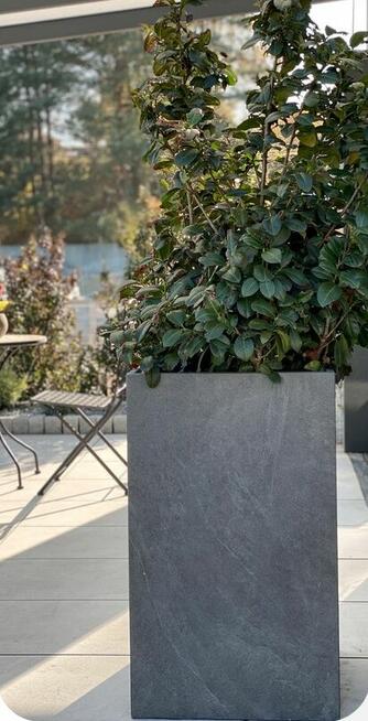 donice do ogrodu i do domu gresowe 59,5/59,5 grubość 2 cm