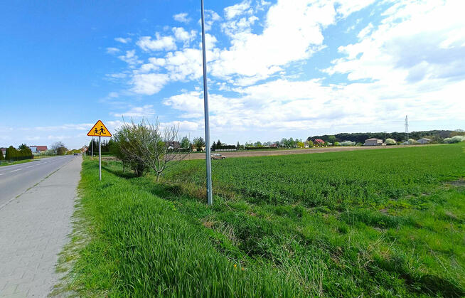 Działki Pniówek, 2,5 km od Zamościa