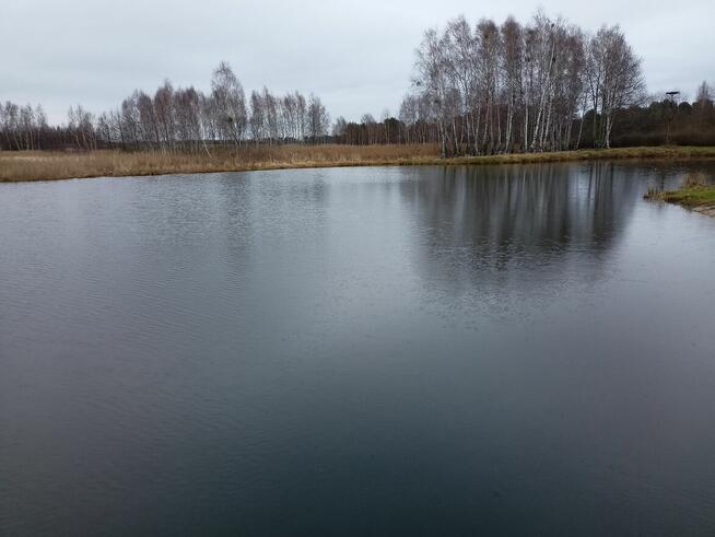 Działka nad jeziorem z linią brzegową, pomostem