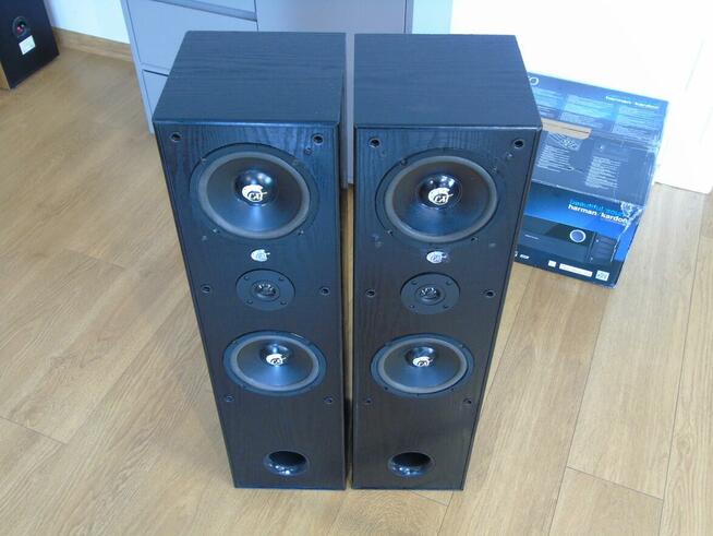Mocne kolumny Cat 2 x 400 wat. DOSTAWA.