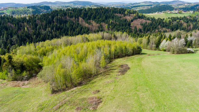 Działka rolno-budowlana Polichty!