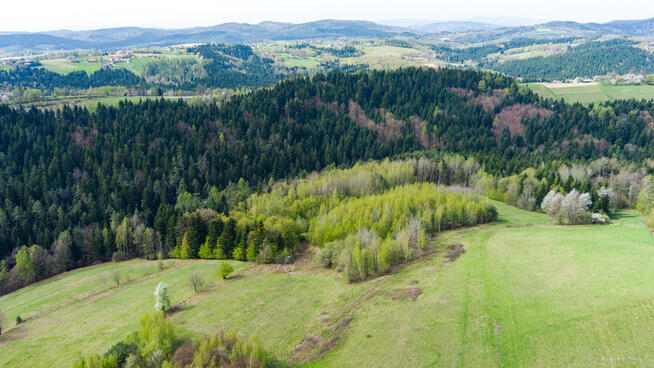 Działka rolno-budowlana Polichty!