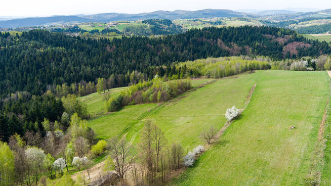 Działka rolno-budowlana Polichty!