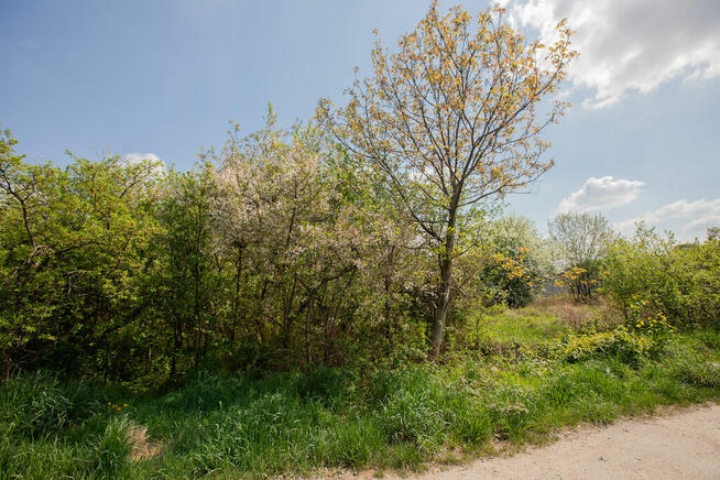 Działki w Tarnowie na osiedlu Koszyckim